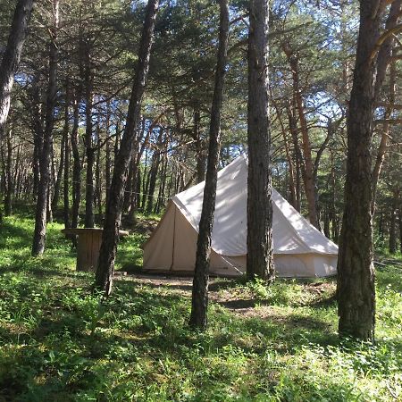 Camping La Chabannerie Saint-Martin-de-Clelles Exterior photo